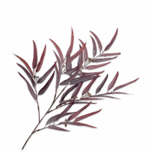 Palm tak paars 123cm